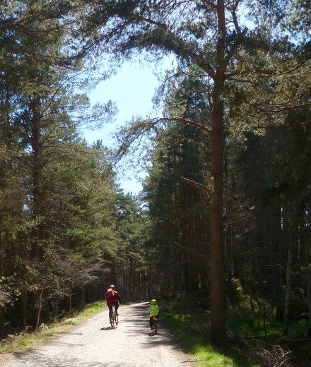 Conditions des sorties VTT